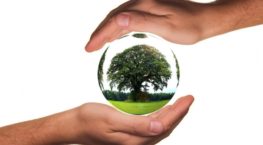 Corporate Social Responsibility
