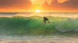Prepare to surf a business skills revolution