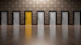 2017: Sustainable strategies or volatile velocity — which will it be?