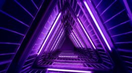 sandro-katalina-457230-unsplash