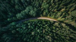Forestry