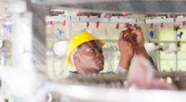 Technology in the Service Industry