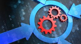 Knowledge Management: Why Integrate Knowledge into Processes?