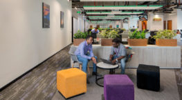 IFS Employee Spotlight