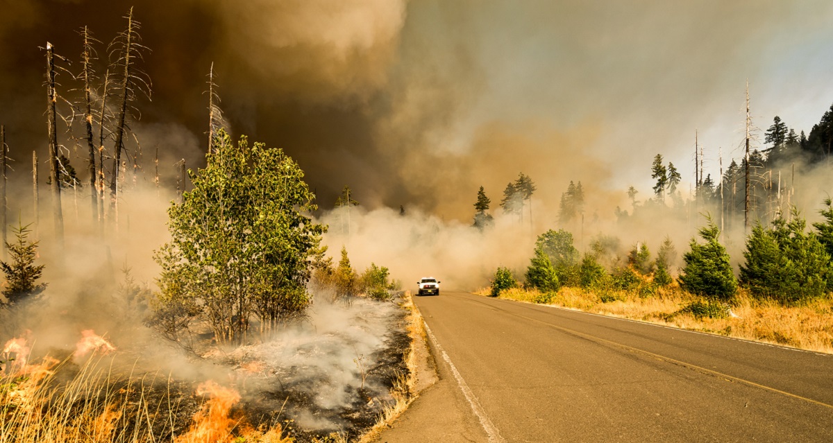 Wildfire Blog