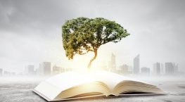 3 Reasons Why Knowledge Management Fails