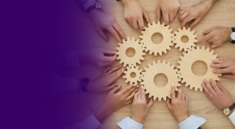 5 things that make for a successful implementation